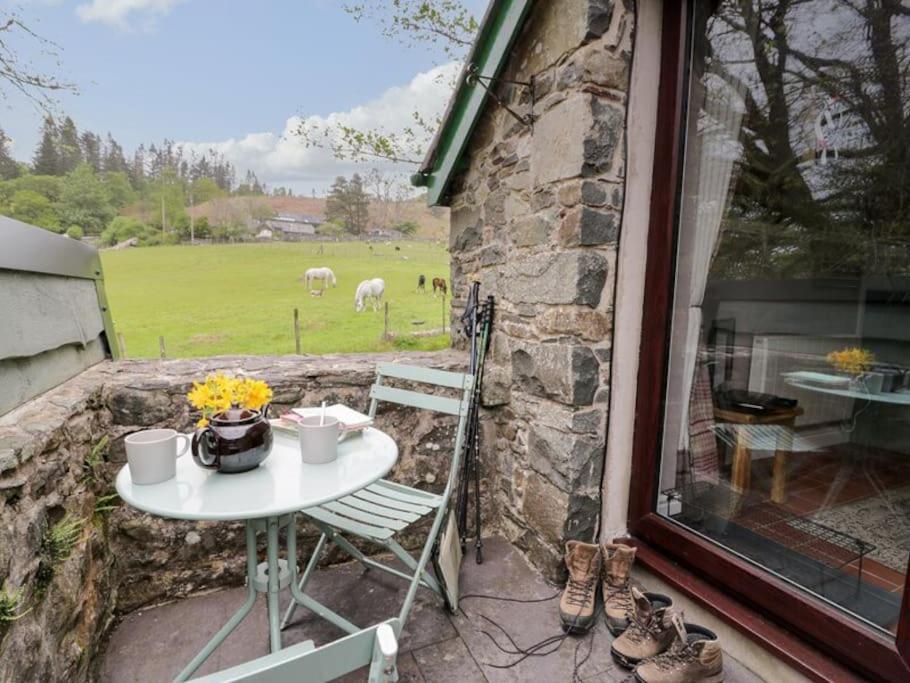 Y Gribyn - Modern Stone Cottage Within Snowdonia'S National Park Dolgellau Exteriér fotografie