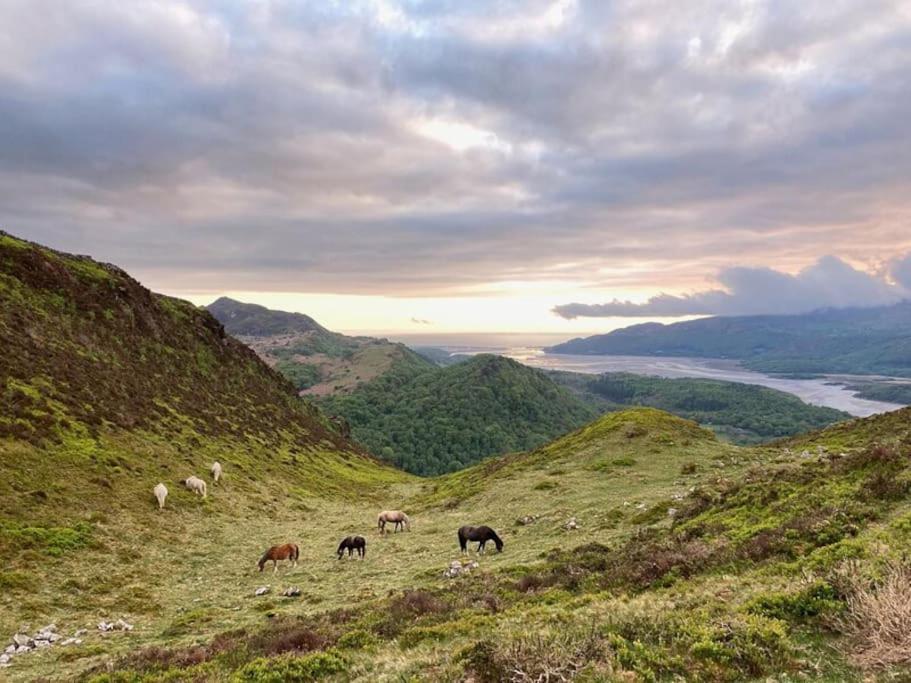 Y Gribyn - Modern Stone Cottage Within Snowdonia'S National Park Dolgellau Exteriér fotografie