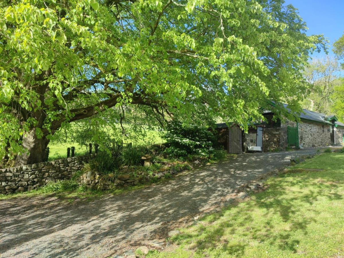 Y Gribyn - Modern Stone Cottage Within Snowdonia'S National Park Dolgellau Exteriér fotografie